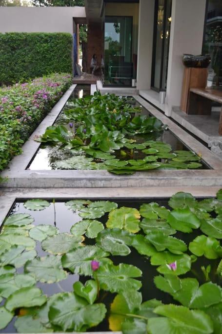 Renovated In The Title Phase I, Pangsapuri