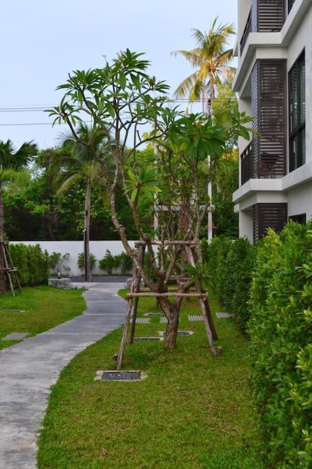 Renovated In The Title Phase I, *